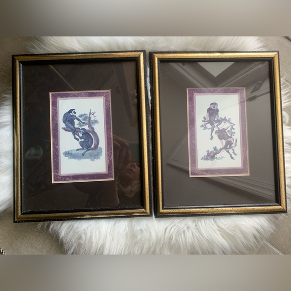 Vintage Framed Monkey Art Wall Home Decor